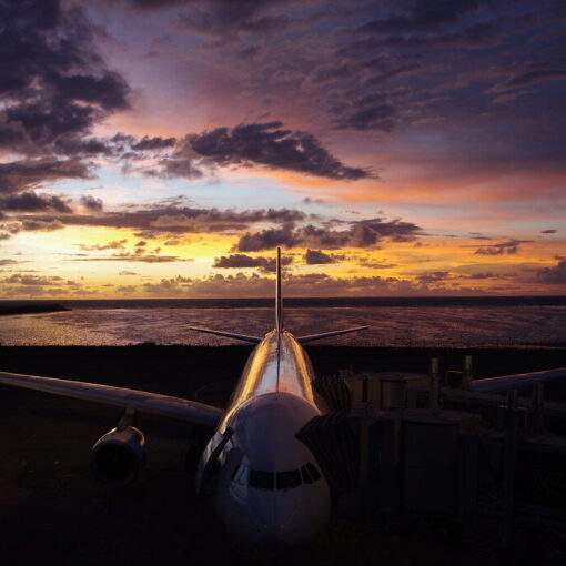 Garuda Indonesia